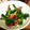 heianbizin's cooksnap of when they made ＊菜の花といかのささっと煮＊.