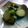 ゆしゅな's cooksnap of when they made 衝撃の味！甘辛いきゅうりの漬物.