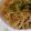 はるたんママ0727's cooksnap of when they made あっさりソース焼きそば.