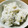 チョイコ's cooksnap of when they made 炊飯器で、春菊と大根のおかゆ.