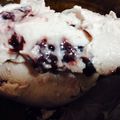 happykote's cooksnap of when they made ブルーベリー＆レモンフローズンヨーグルト.