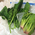 Fikamamma's cooksnap of when they made ほうれん草の保存.