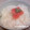momoppusu's cooksnap of when they made さっぱりおいしい♪たらことわさびご飯.