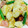 kkll0000's cooksnap of when they made じゃがいものマヨ炒め.