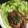 まーゆ、、's cooksnap of when they made 簡単 鶏のテリヤキ.