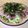 elliharr's cooksnap of when they made カツオのタタキ☆サラダ.