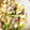 いけ◎'s cooksnap of when they made めちゃ簡単♪豆乳でまろやかゆで豚の甘味噌.