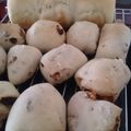 ☆ちぃー☆'s cooksnap of when they made ◆りんご酵母 シンプル胡桃パン.