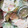 harmony930's cooksnap of when they made 簡単♪きゅうりとハムのサラダ.