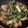 ガッちやん's cooksnap of when they made ごはん２杯は確実！豚肉と小松菜炒め☆.