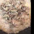 たぶんなっちゃん's cooksnap of when they made ほっこり優しいきのこのドリア.