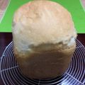 絵里の台所's cooksnap of when they made ツインバードHB☆メープルくるみパン.