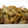 すいせんママ's cooksnap of when they made あさりの生姜煮.