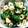 にぃもちゃん's cooksnap of when they made 大根葉と油揚げの炒め物.