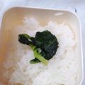 蜂蜜牛乳's cooksnap of when they made 超簡単！昆布茶deチンゲン菜の浅漬け.