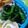 StardustCrusaders's cooksnap of when they made ほうれん草の海苔バター風味.