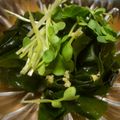 てーぶるすぷーん's cooksnap of when they made 簡単で感嘆♪わかめの生姜ポン酢.