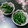 ♡ゆうmama♡'s cooksnap of when they made ほうれん草のゴマ和え.
