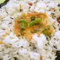 時花菜's cooksnap of when they made タラコのラー油ネギ和え.