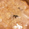 RYK1205's cooksnap of when they made お腹にやさしい♪味噌仕立ての雑炊.