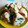 Amenti's cooksnap of when they made 鮭とせりのまぜご飯.