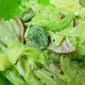 Kitecat's cooksnap of when they made 簡単早い春キャベツとソラマメの洋風和え物.