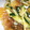 クッキーs2's cooksnap of when they made くらげときゅうりの中華風あえもの.