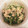 リハブ's cooksnap of when they made 春菊とツナのマヨネーズ和え.