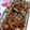 愛ek2284's cooksnap of when they made きんぴらごぼう.