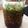 あおさくキッチン's cooksnap of when they made これ!おいしい！ニラたっぷり万能醤油ダレ.