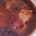 オペラゴースト's cooksnap of when they made 小豆アイスでぜんざい.