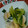 yu55's cooksnap of when they made 小松菜と油揚げの煮浸し.