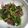 だれんしゃん's cooksnap of when they made ほうれん草と海苔の和え物.