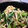 わんめぐ's cooksnap of when they made 小松菜と切り干し大根炒め.