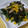 sumityon830's cooksnap of when they made ツナとほうれん草のバター炒め.