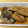 yayukomi's cooksnap of when they made 簡単！さんまの蒲焼き.