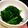 みゆwaco 's cooksnap of when they made ほうれん草のナムル.