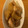クックQHYN0J☆'s cooksnap of when they made 簡単しみしみ鶏大根の煮物.