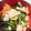 harmony930's cooksnap of when they made きゅうりと鮭フレークの酢の物.