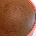 cathoney's cooksnap of when they made チョコスポンジ♪本格的で簡単です！！.