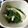 ポメちょん's cooksnap of when they made 簡単！美味しい☆わけぎのおひたし.