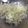 rope☆★'s cooksnap of when they made バラバラにならない玉ねぎのみじん切り♪.
