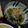 ごまむぎ。's cooksnap of when they made 小松菜のおひたし☆.