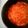 さいとうようこち's cooksnap of when they made トマトソース.