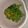 ばななちゃん538's cooksnap of when they made 春の香り☆菜の花の胡麻和え.