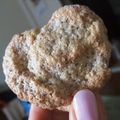 …のみぃ's cooksnap of when they made 限界まで甘さ控えたダックワーズ!粉糖節約.