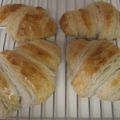 frangipani's cooksnap of when they made 天然酵母でバジルクロワッサン.