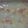 クック291MJY☆'s cooksnap of when they made 離乳食　クリームコーンのベビーチャウダー.