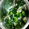 ぺぺんちゅ's cooksnap of when they made 菜の花と長ネギのレモン醤油でおひたし.