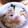 ココ❇︎ママ's cooksnap of when they made 春の混ぜご飯〜あさりと菜の花で.
